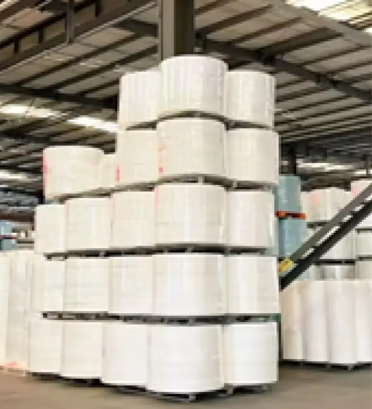 White spunbond rolls from a nonwoven fabric supplier in Bangladesh